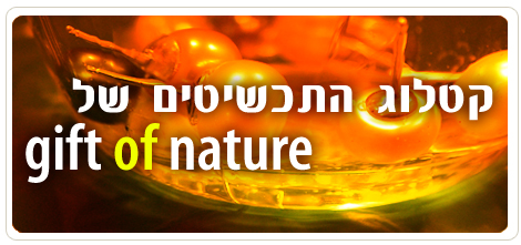 ����� ��������